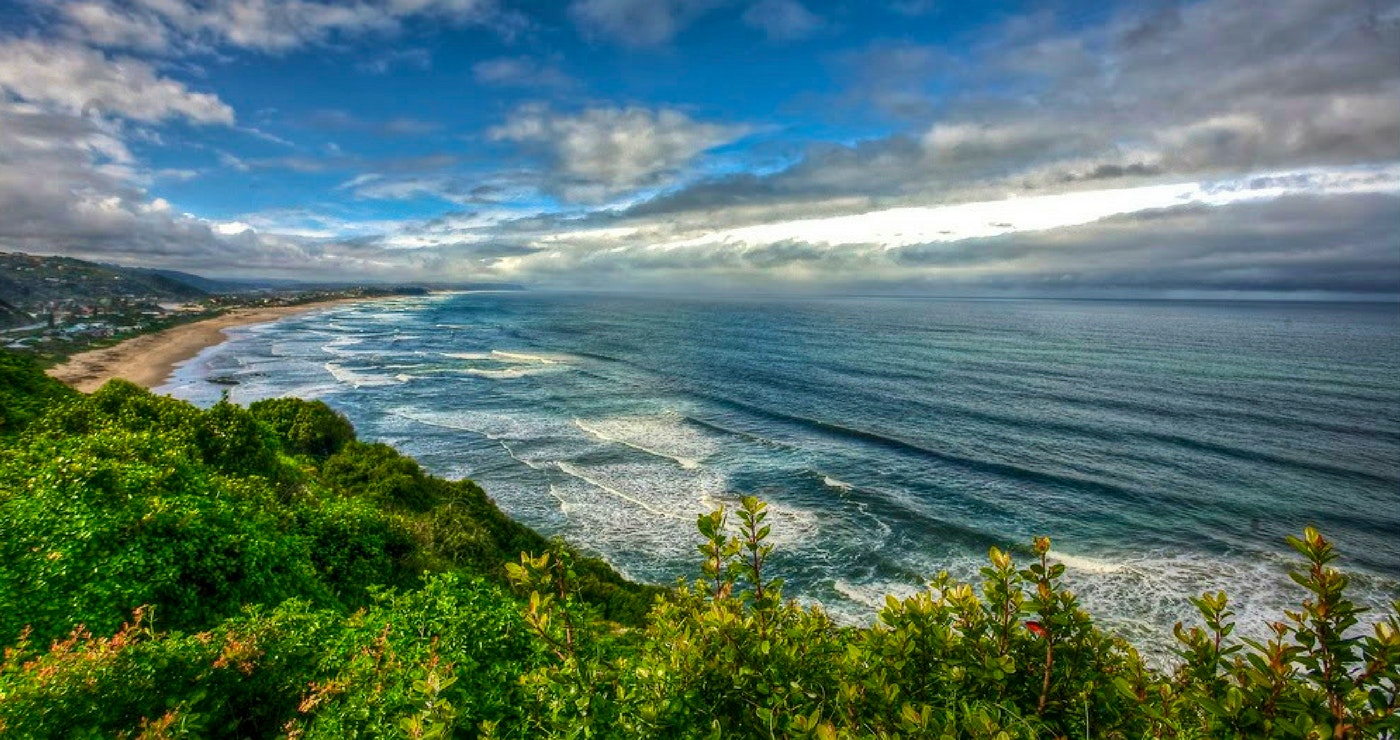 Live on the Wild Side in Wilderness