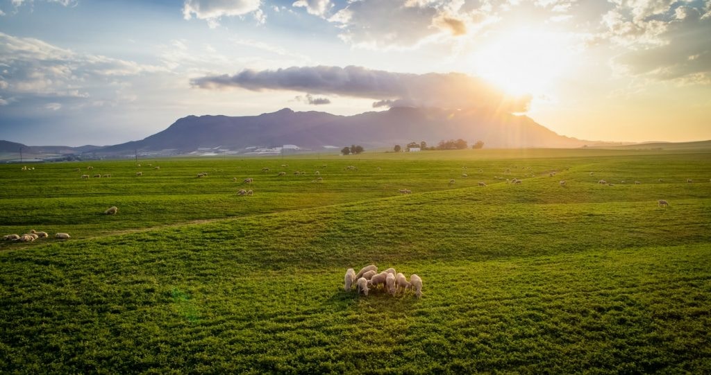 Malmesbury in Engeland!?