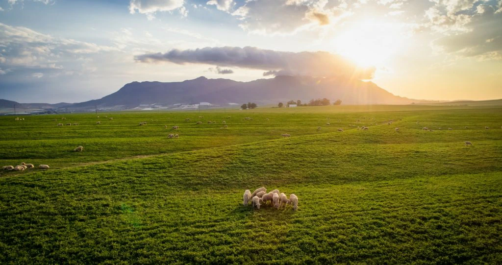 Malmesbury in Engeland!?