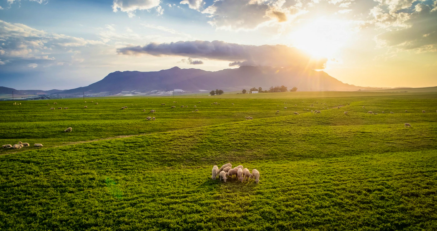 Malmesbury in Engeland!?
