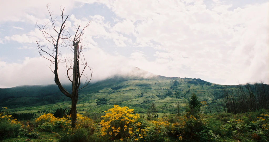 6 Wonderskone Oos-Kaapse Dorpe wat Wink dié Winter