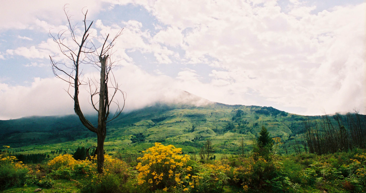 6 Wonderskone Oos-Kaapse Dorpe wat Wink dié Winter