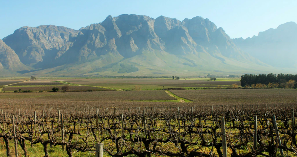 Breedekloof – The Wine Route Less Travelled