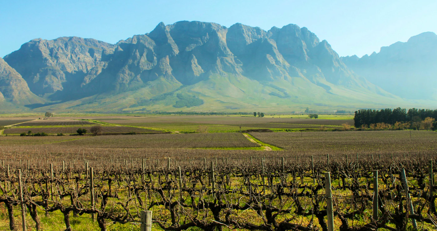 Breedekloof – The Wine Route Less Travelled