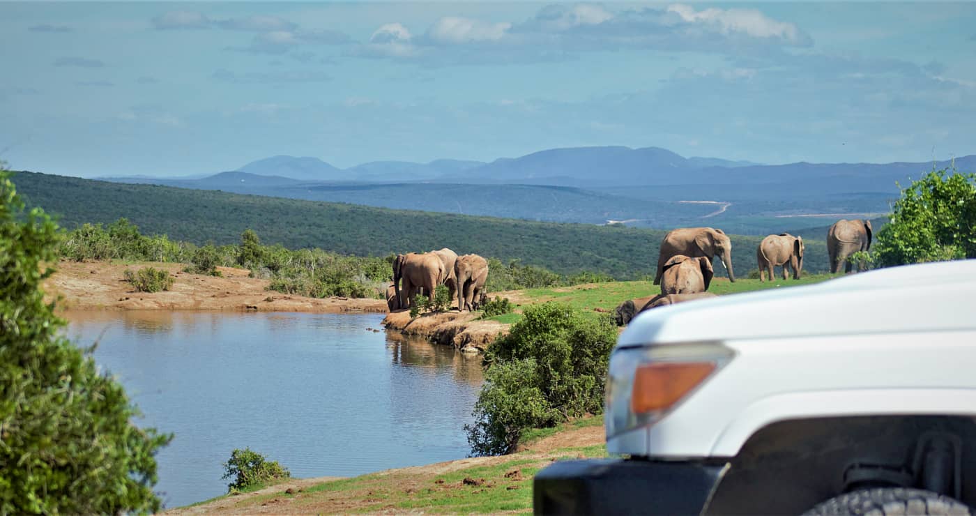 Addo Elephant National Park: Awesome Accommodation And Activities ...