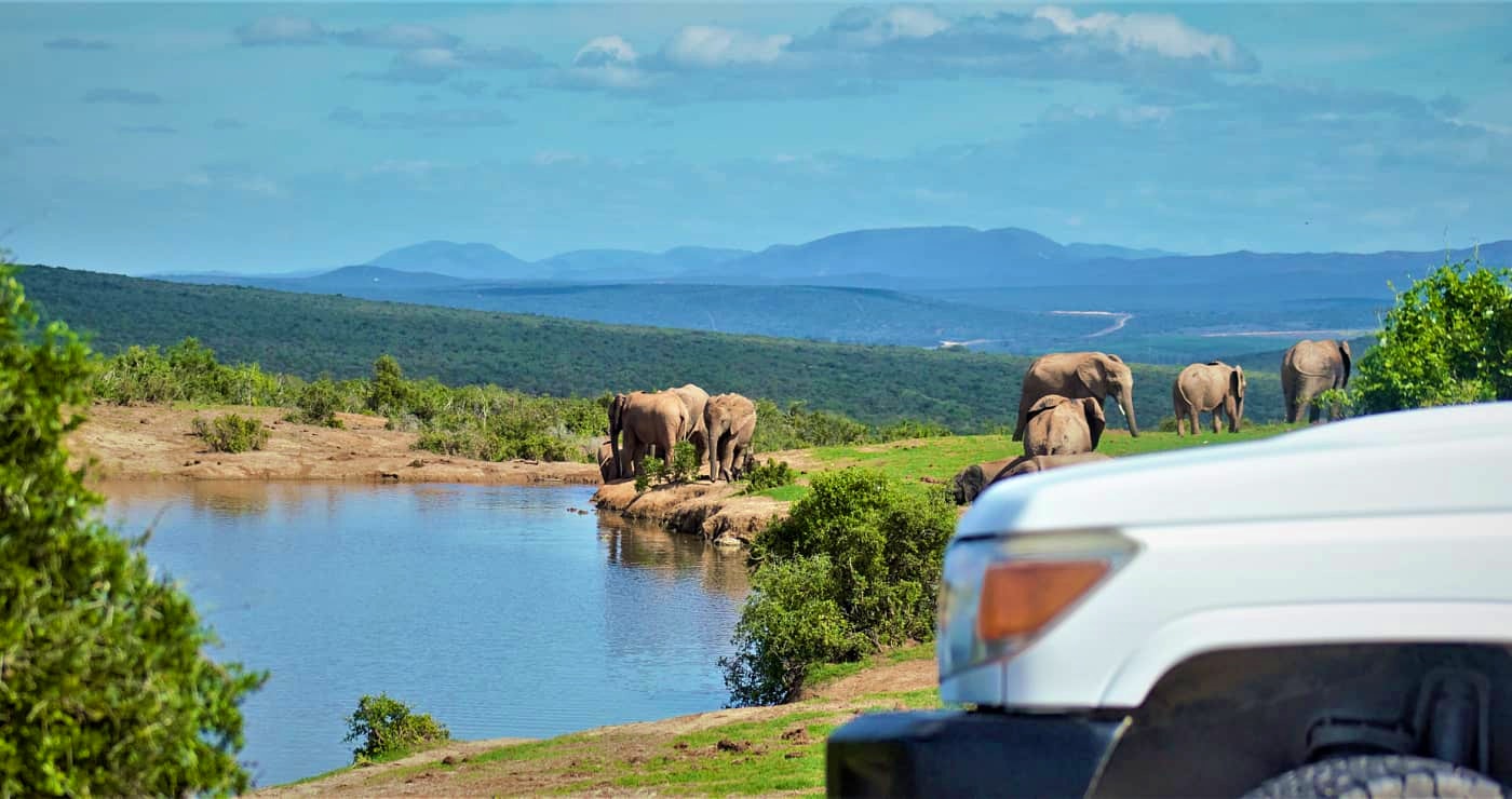 Addo Elephant National Park: Awesome Accommodation and Activities