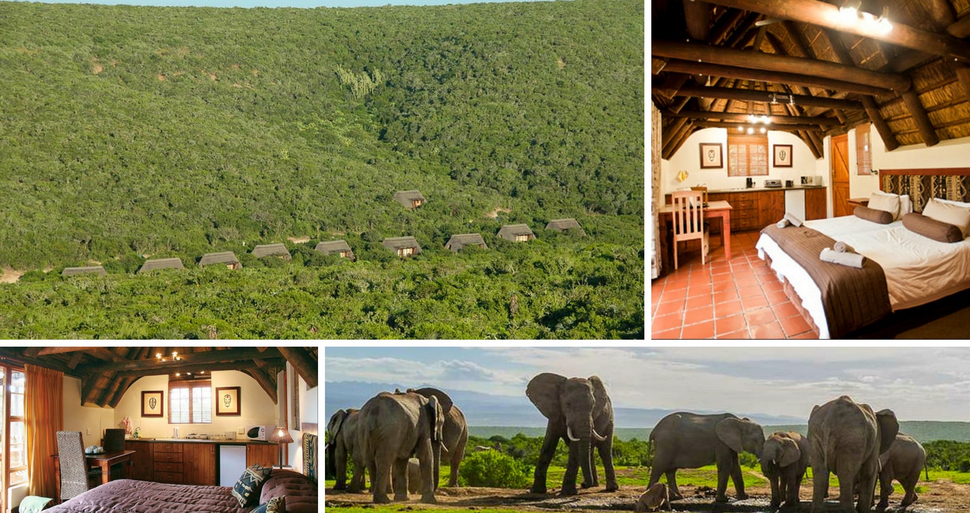 Addo Elephant National Park Awesome and