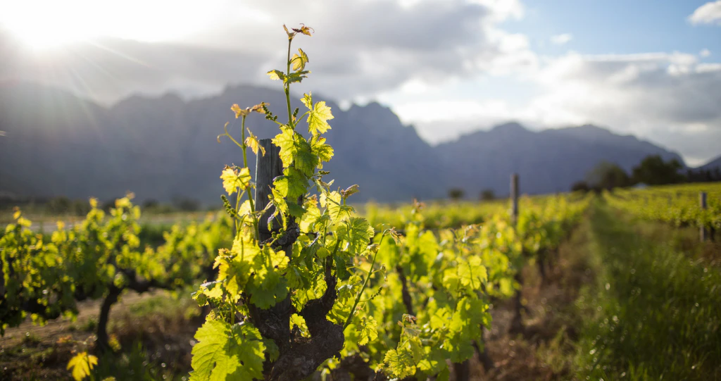Kom Smul Saam by die Soetes- en Sopfees in die Skilderagtige Breedekloof