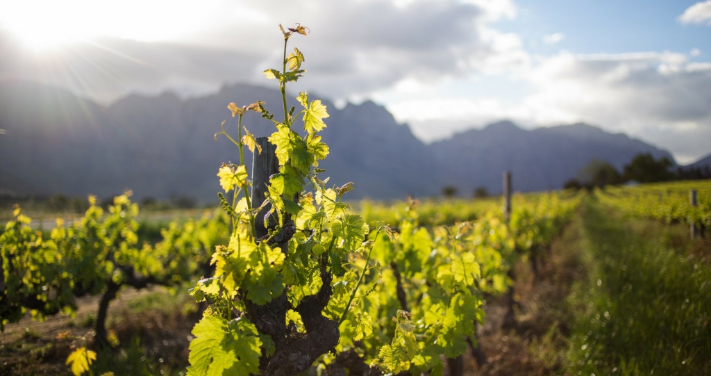 Kom Smul Saam by die Soetes- en Sopfees in die Skilderagtige Breedekloof