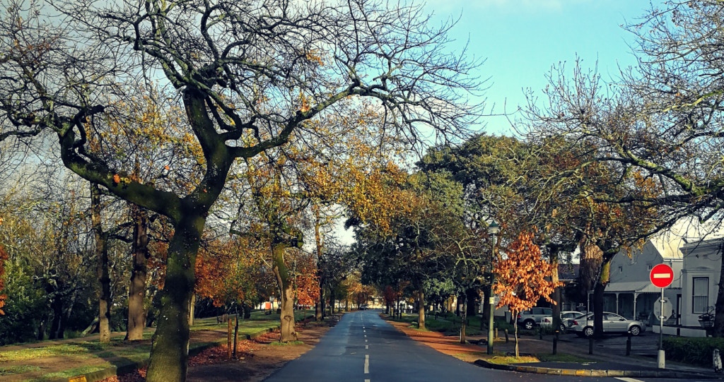 Dis Lente in die Laan