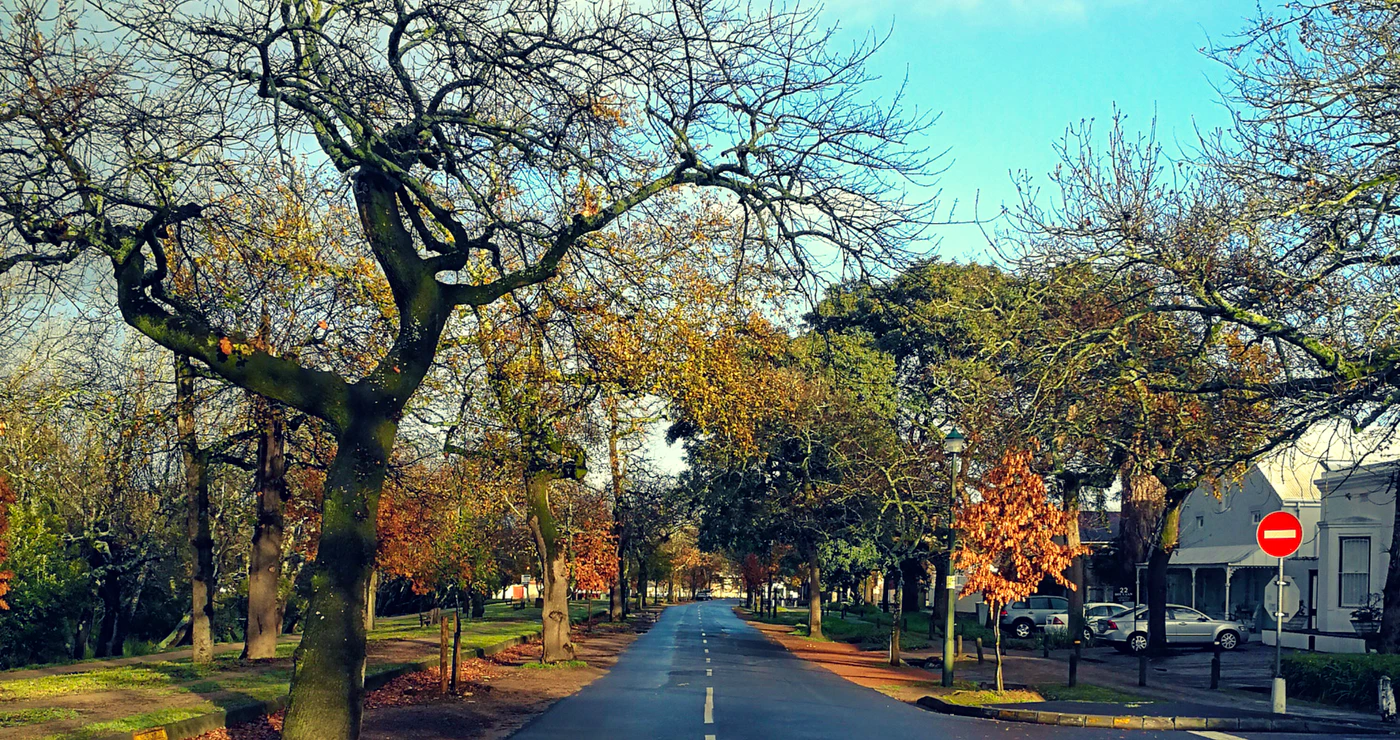 Dis Lente in die Laan