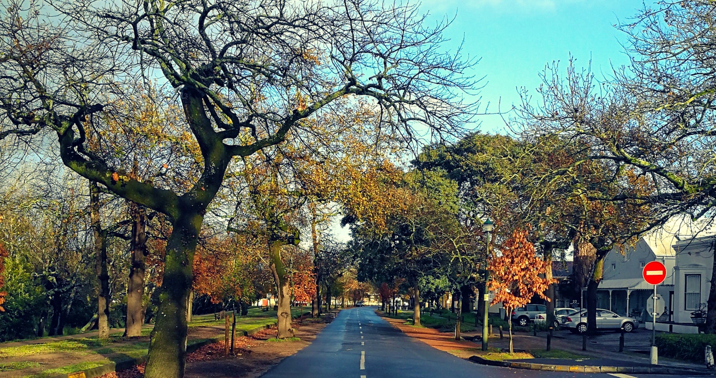 Dis Lente in die Laan