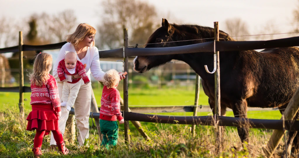 5 Kindervriendelike Diereplase vir Klein Kabouters