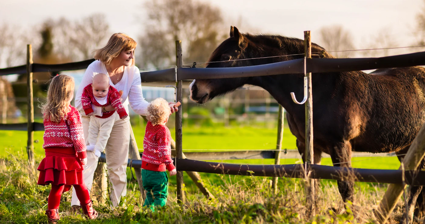 5 Kindervriendelike Diereplase vir Klein Kabouters