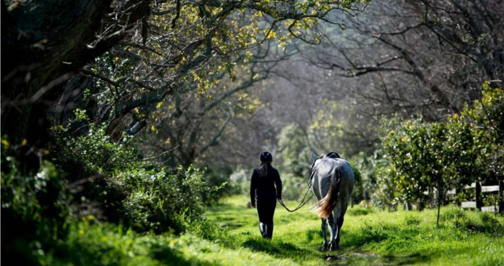 ’n Naweek in Noordhoek: Plattelandse Plesier in Kaapstad