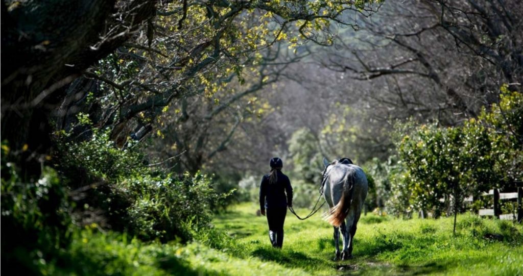 ’n Naweek in Noordhoek: Plattelandse Plesier in Kaapstad