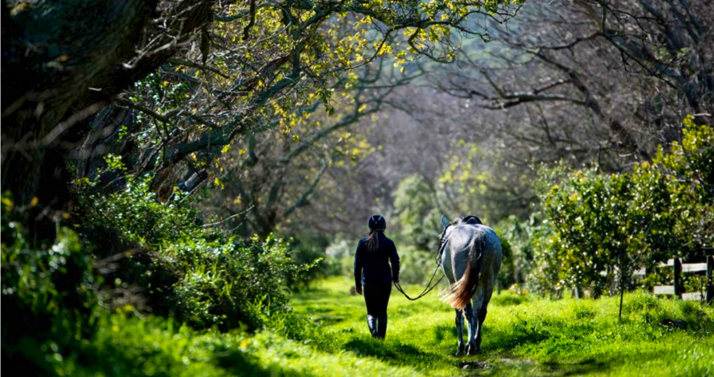 ’n Naweek in Noordhoek: Plattelandse Plesier in Kaapstad