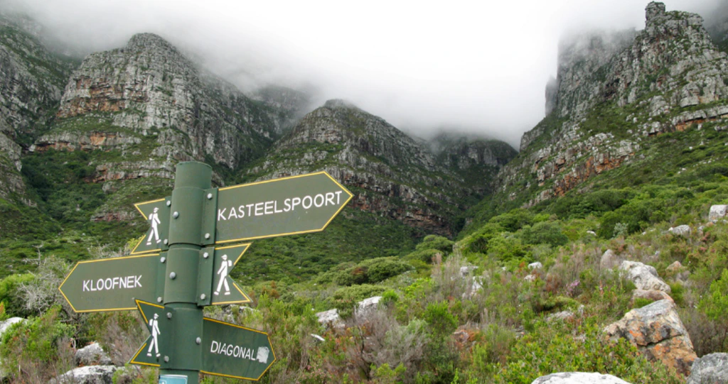 The Cape Camino is Calling!