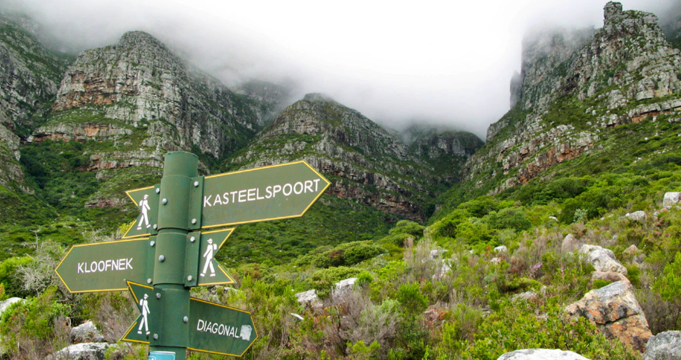 The Cape Camino is Calling!