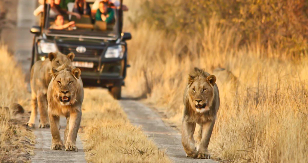 Jou Gids tot Groot 5-kyk