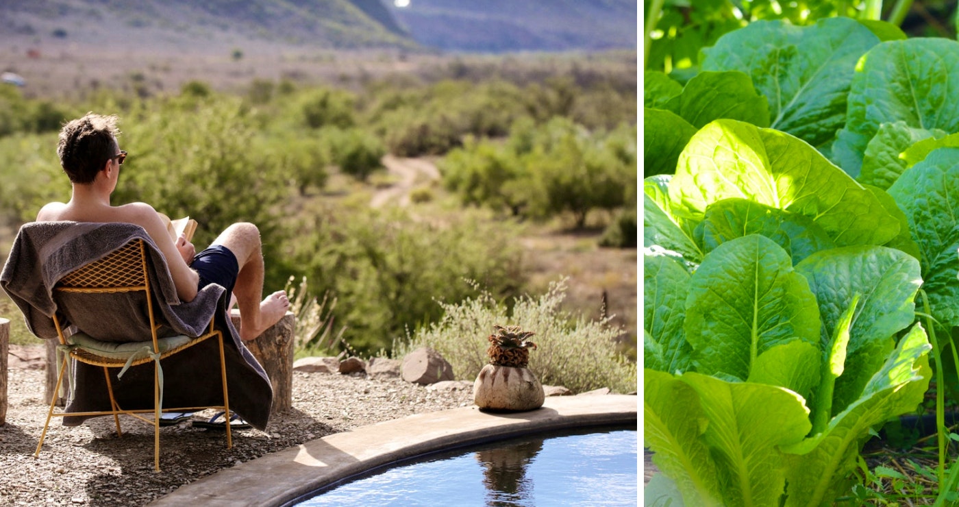 Numbi Valley Farm, De Rust (TravelGround.com)