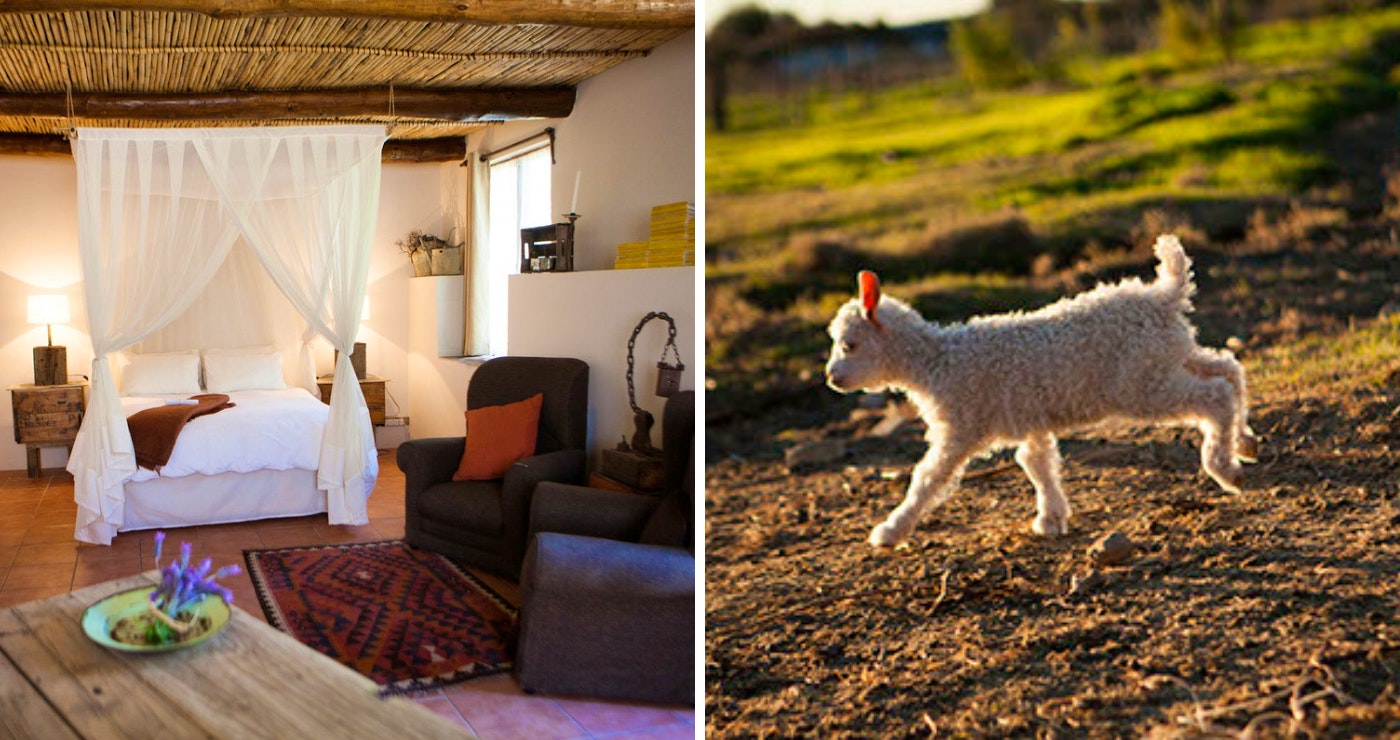 Karoo Khaya, Prince Albert (TravelGround.com and the Karoo Khaya website)