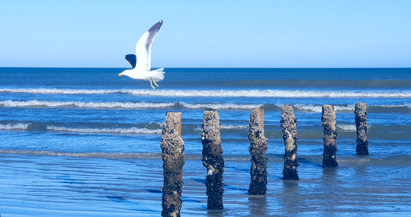 Gesinspret en Salige Weskusdae in Dwarskersbos