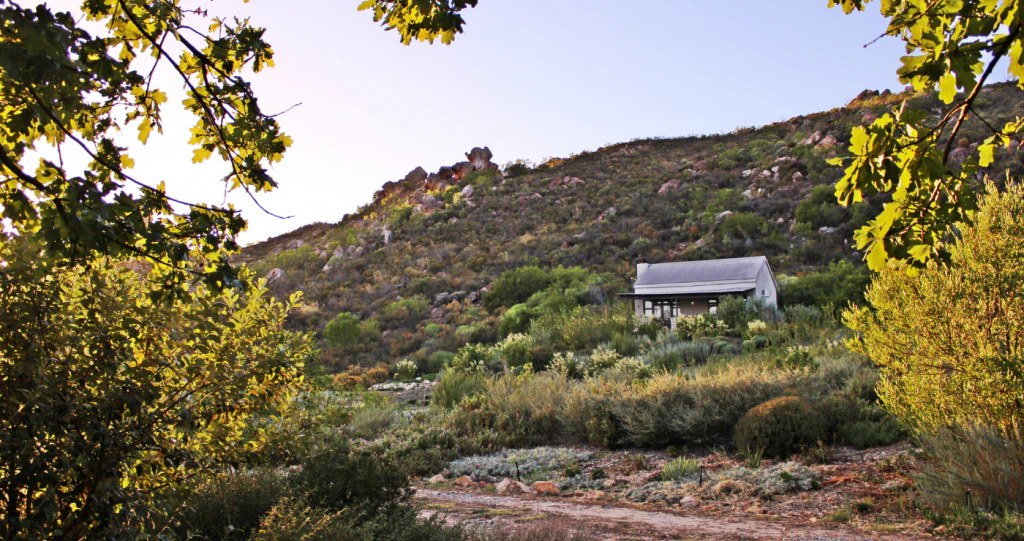 Finding our balance at Cederkloof Botanical Retreat