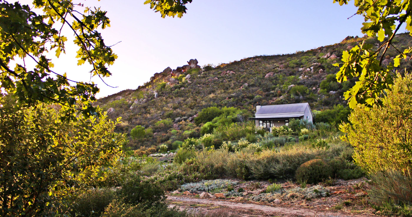 Finding our balance at Cederkloof Botanical Retreat