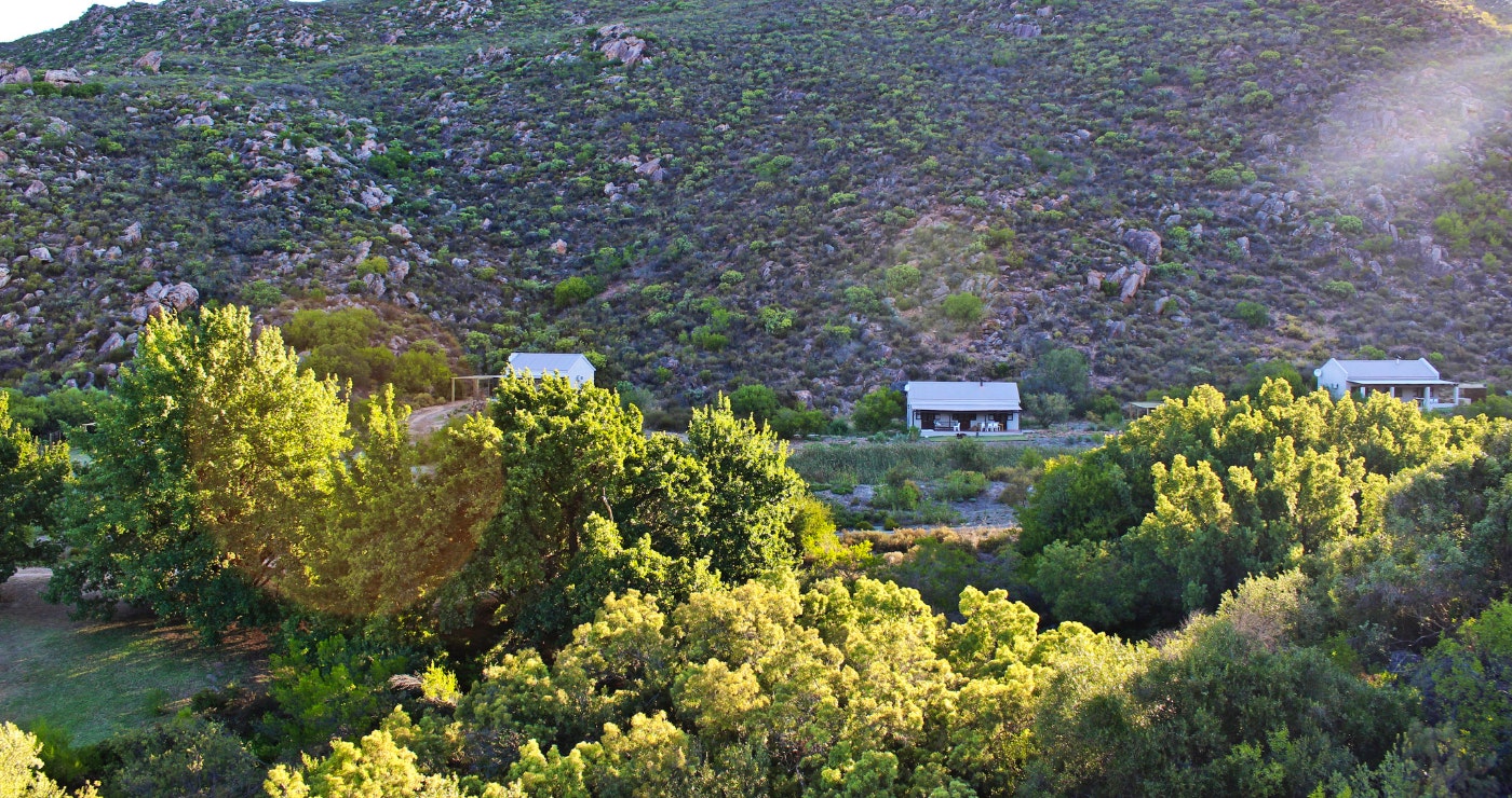 The chalets are nestled in a fynbos kloof outside Citrusdal.