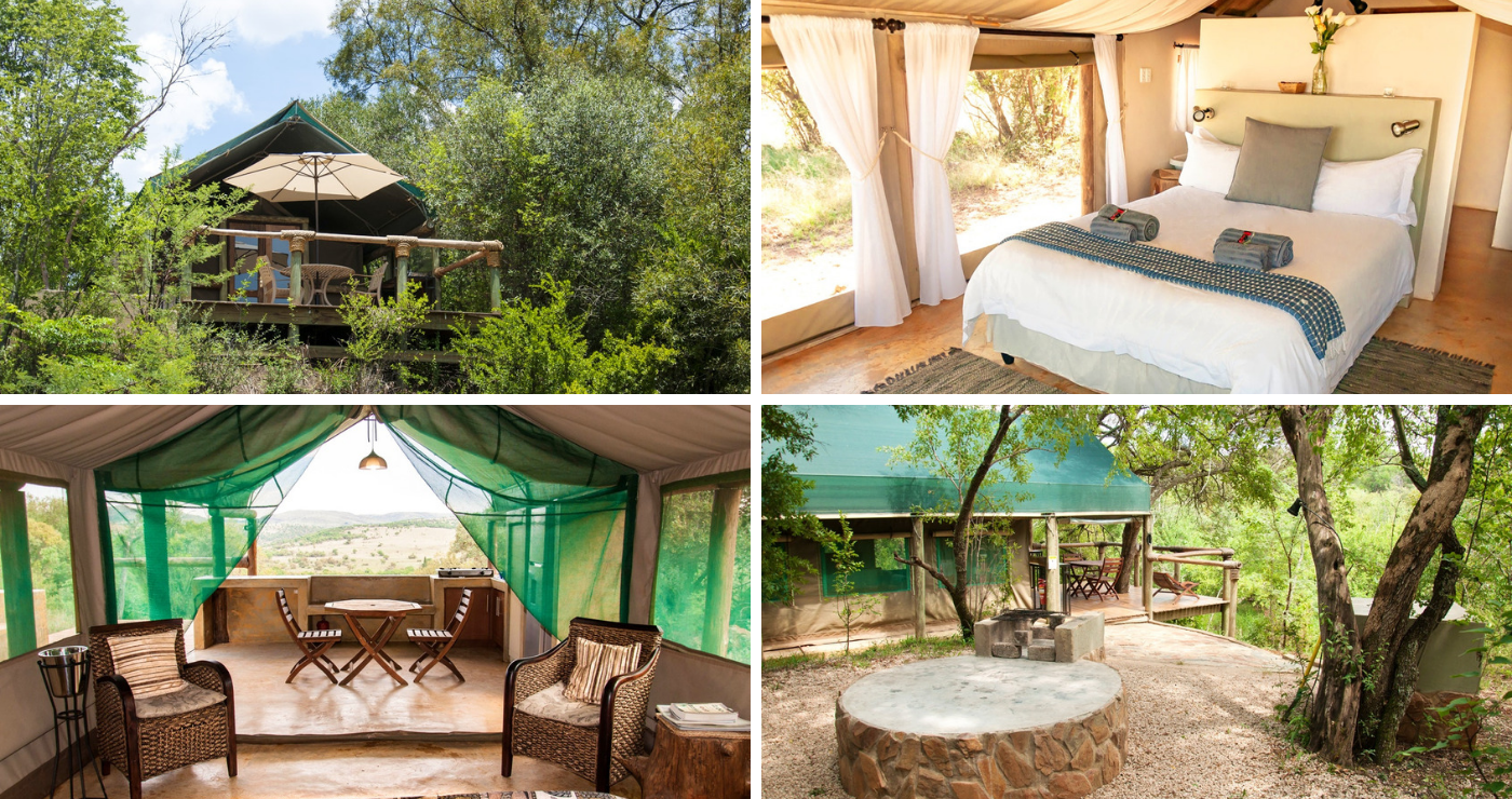 10 Glamping Getaways Across SA | TravelGround