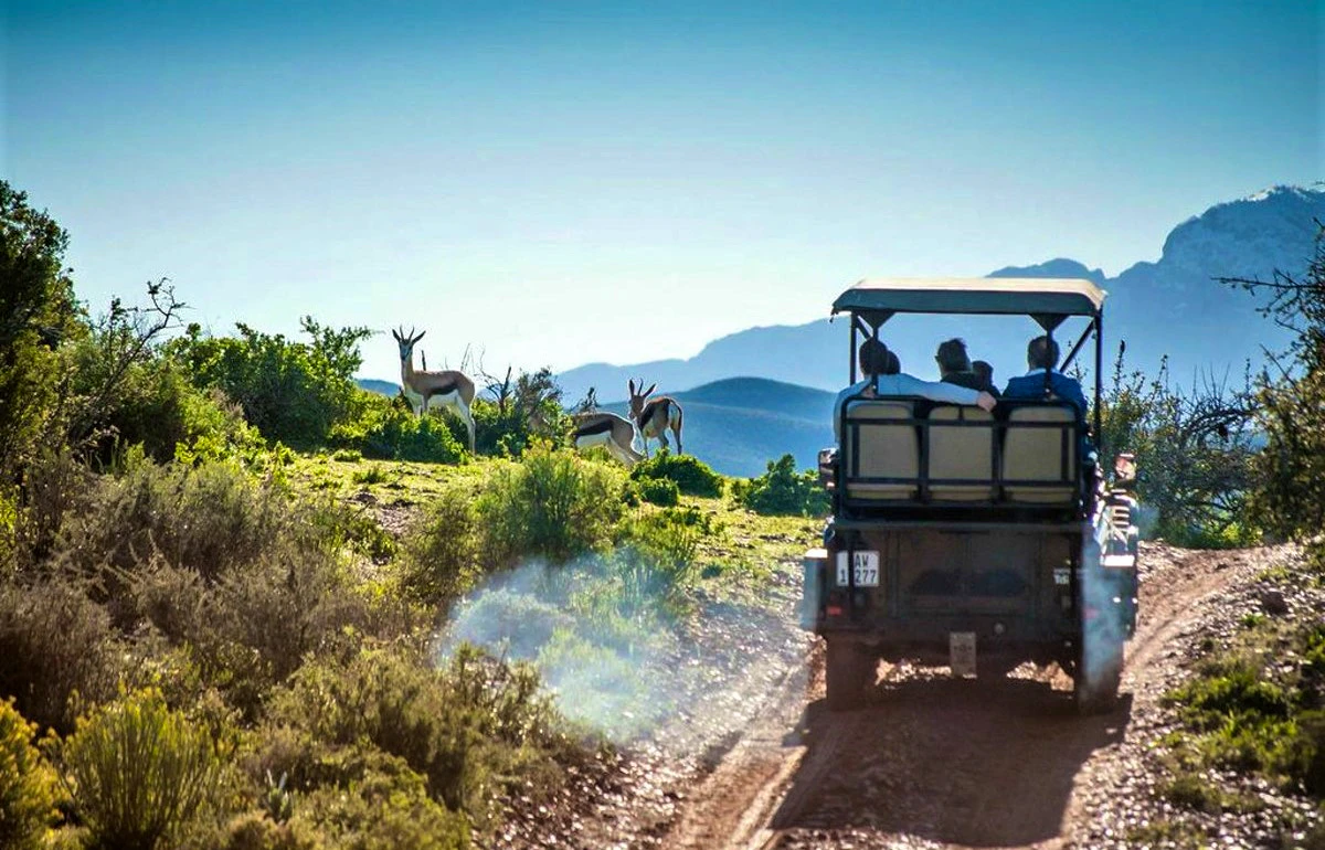 Safari in die Kaap: Die Wes-Kaap Wys Haar Wilde Kant