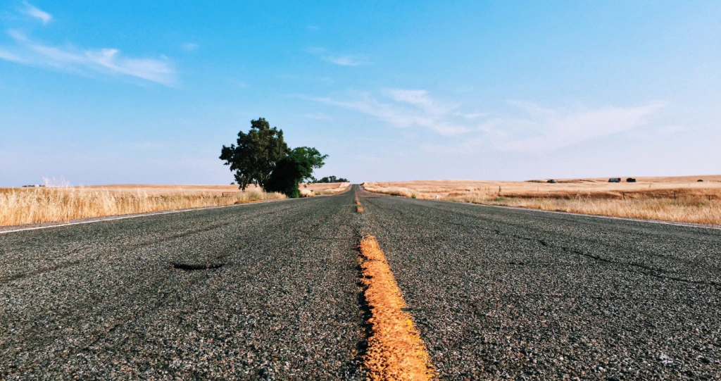 Cape Town to Gqeberha: Backpacking the Baz Bus way