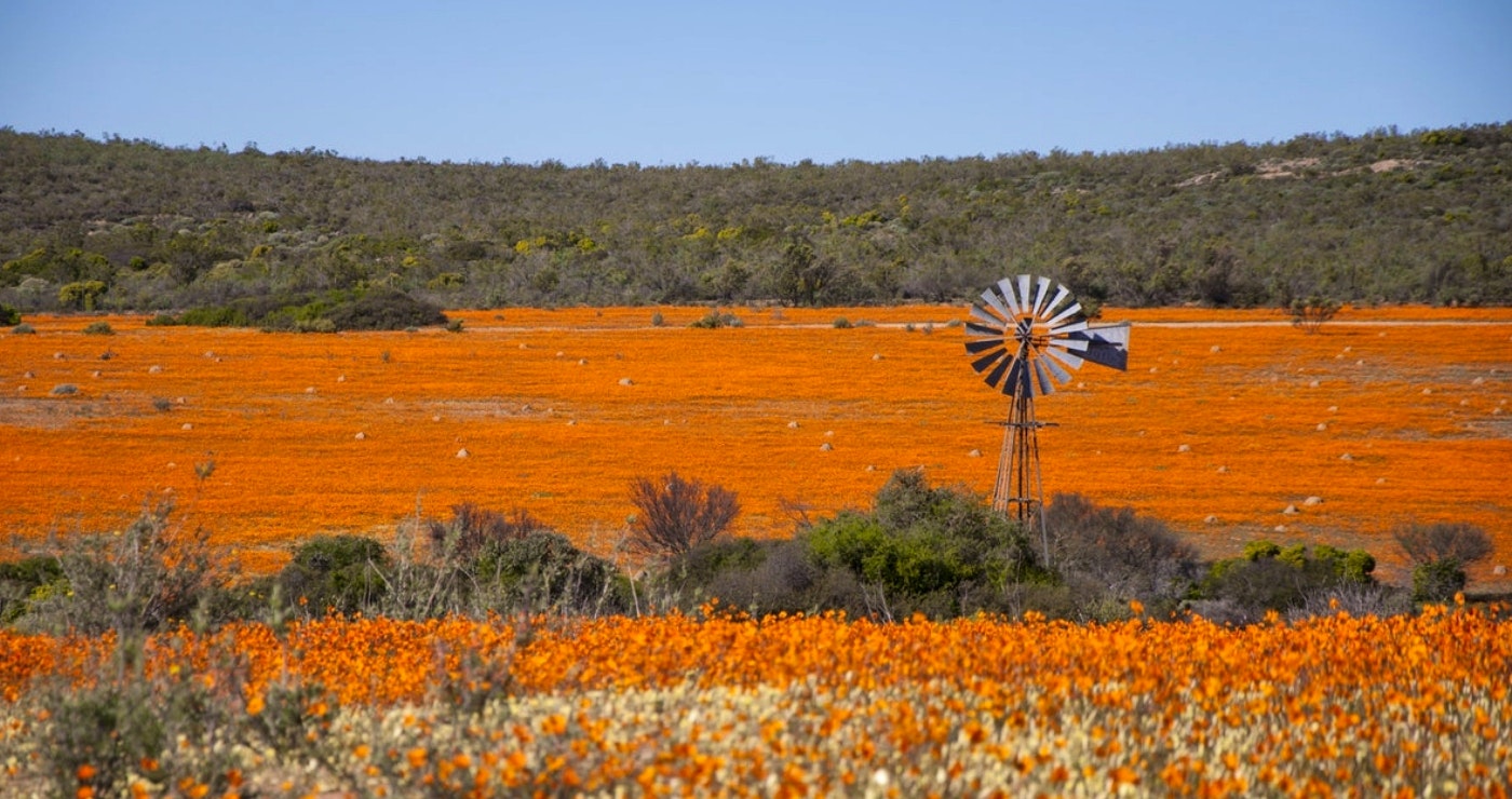 Windpomp in Namakwaland | Bron: Namaqua Flower Skilpad Camp.