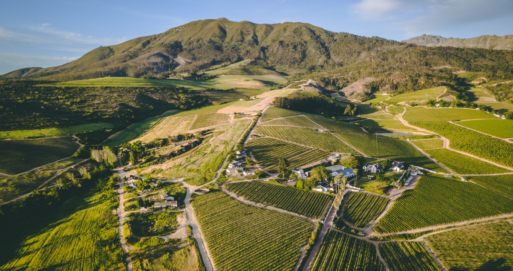 My voete loop na Wellington …