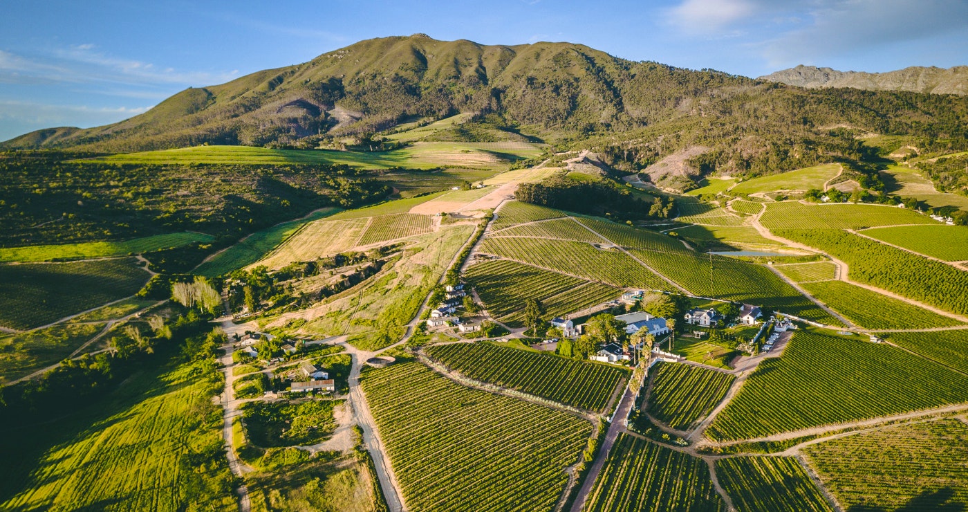 My voete loop na Wellington …