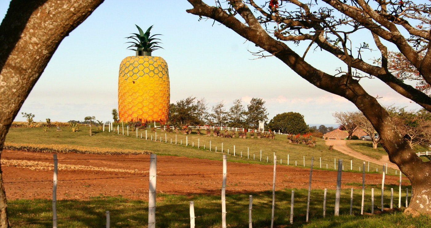 Die Groot Pynappel in Bathurst Lifesize Pineapple Big