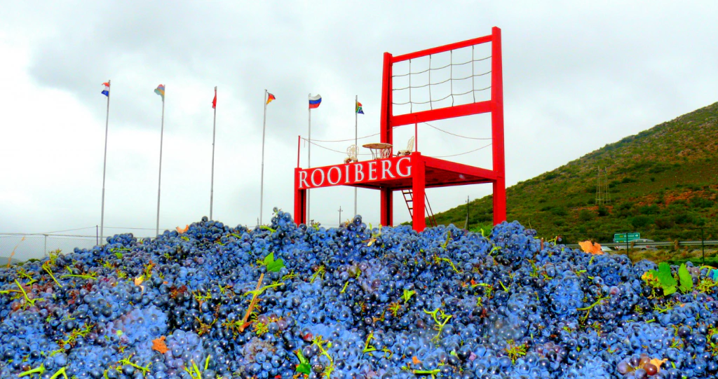 5 Reuse-voorwerpe vir vreemde foto’s