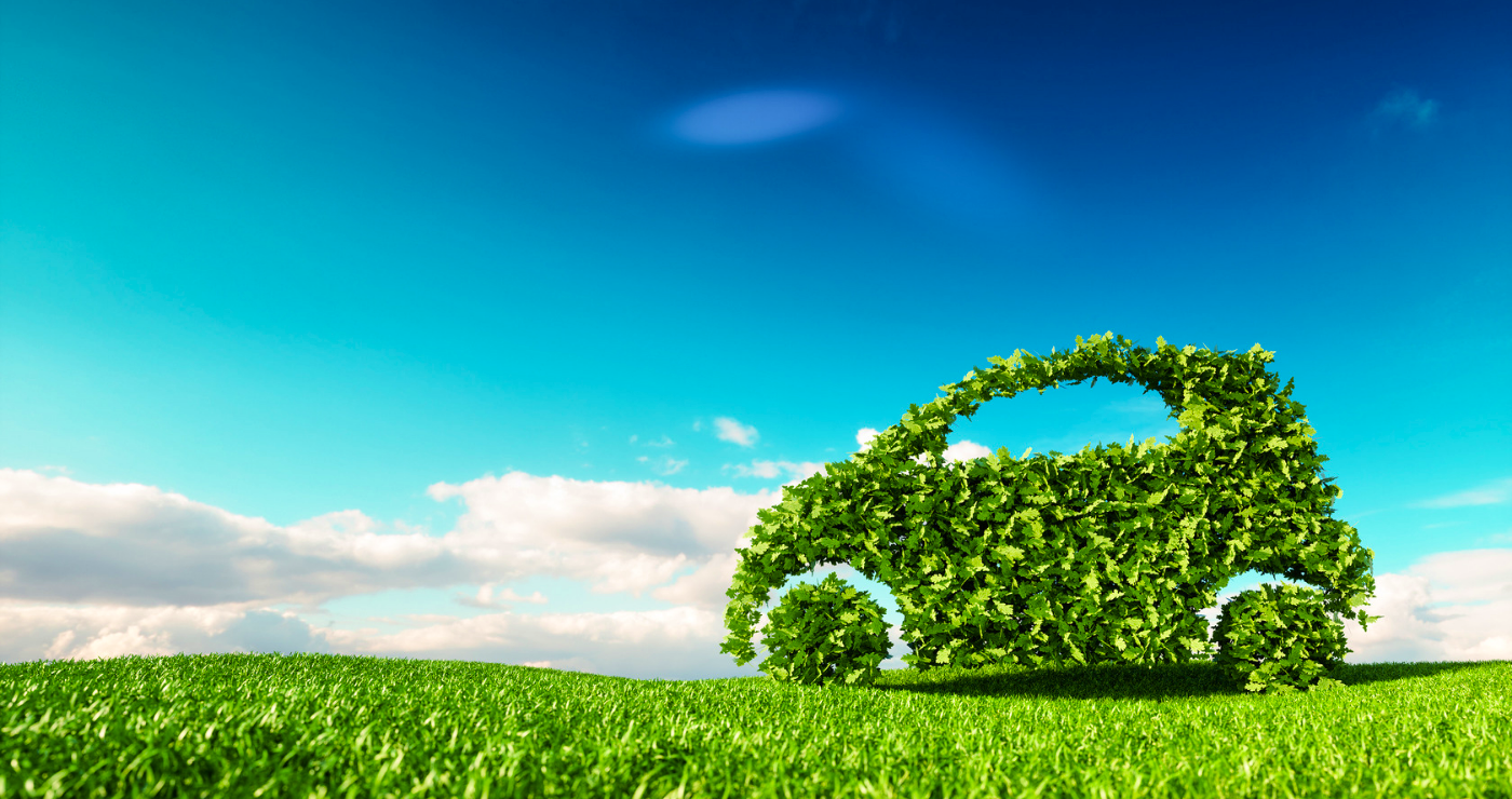 TravelGround’s Top 10 EcoFriendly Travel Tips TravelGround