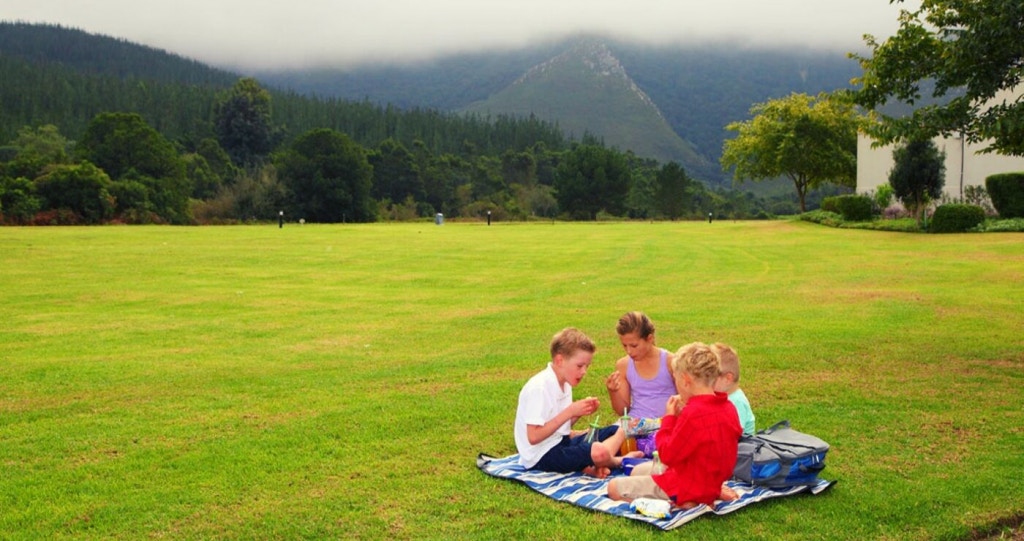 Wim se werfstories en Suid-Afrika se gewildste grasperke