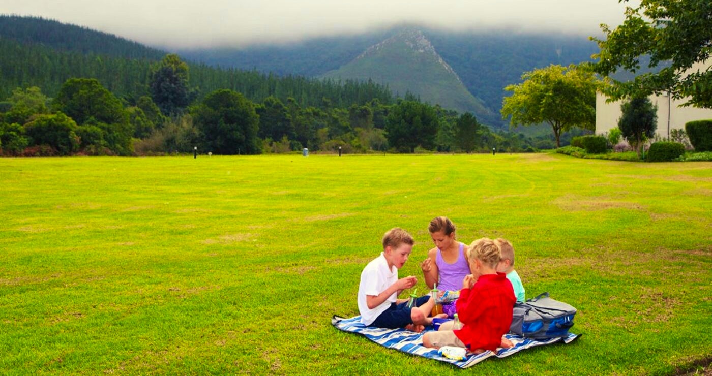 Wim se werfstories en Suid-Afrika se gewildste grasperke