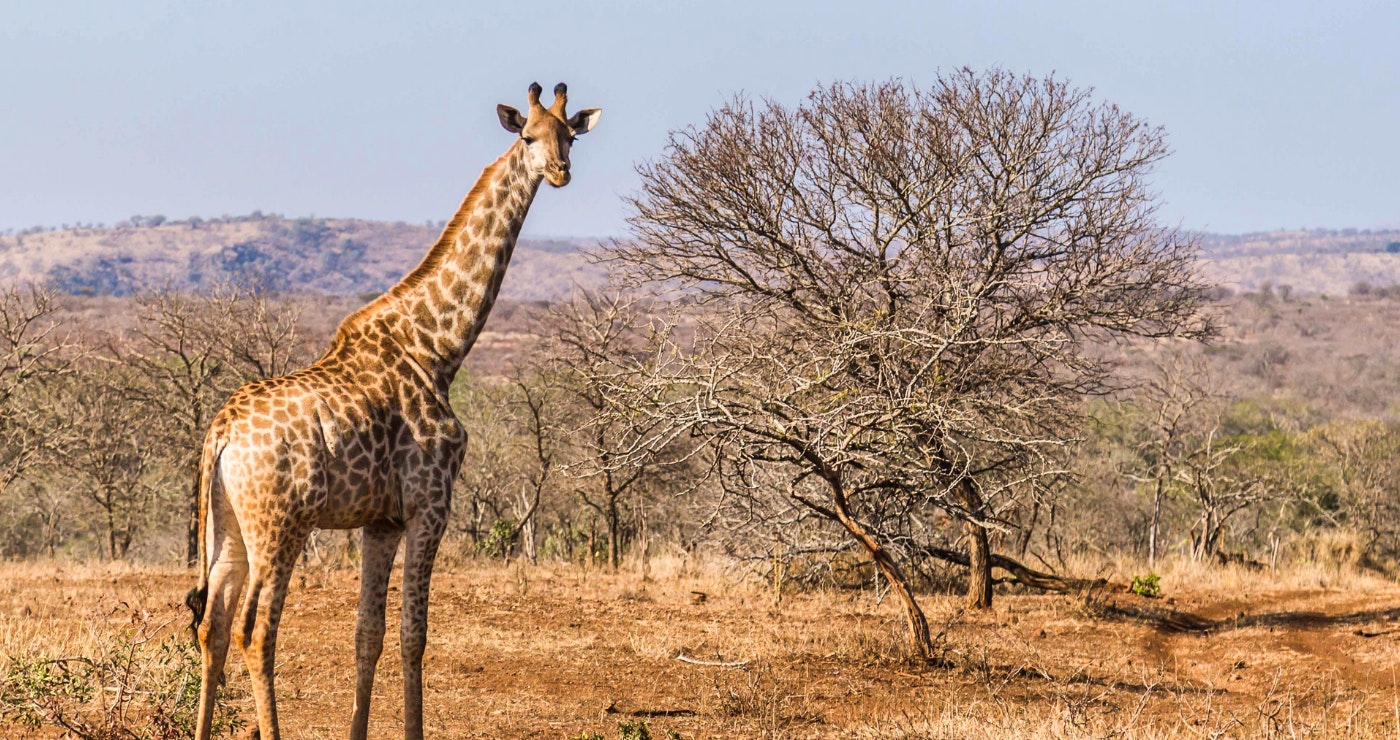 Ons Reënbooglandskap: Ontdek SA van bioom tot bioom