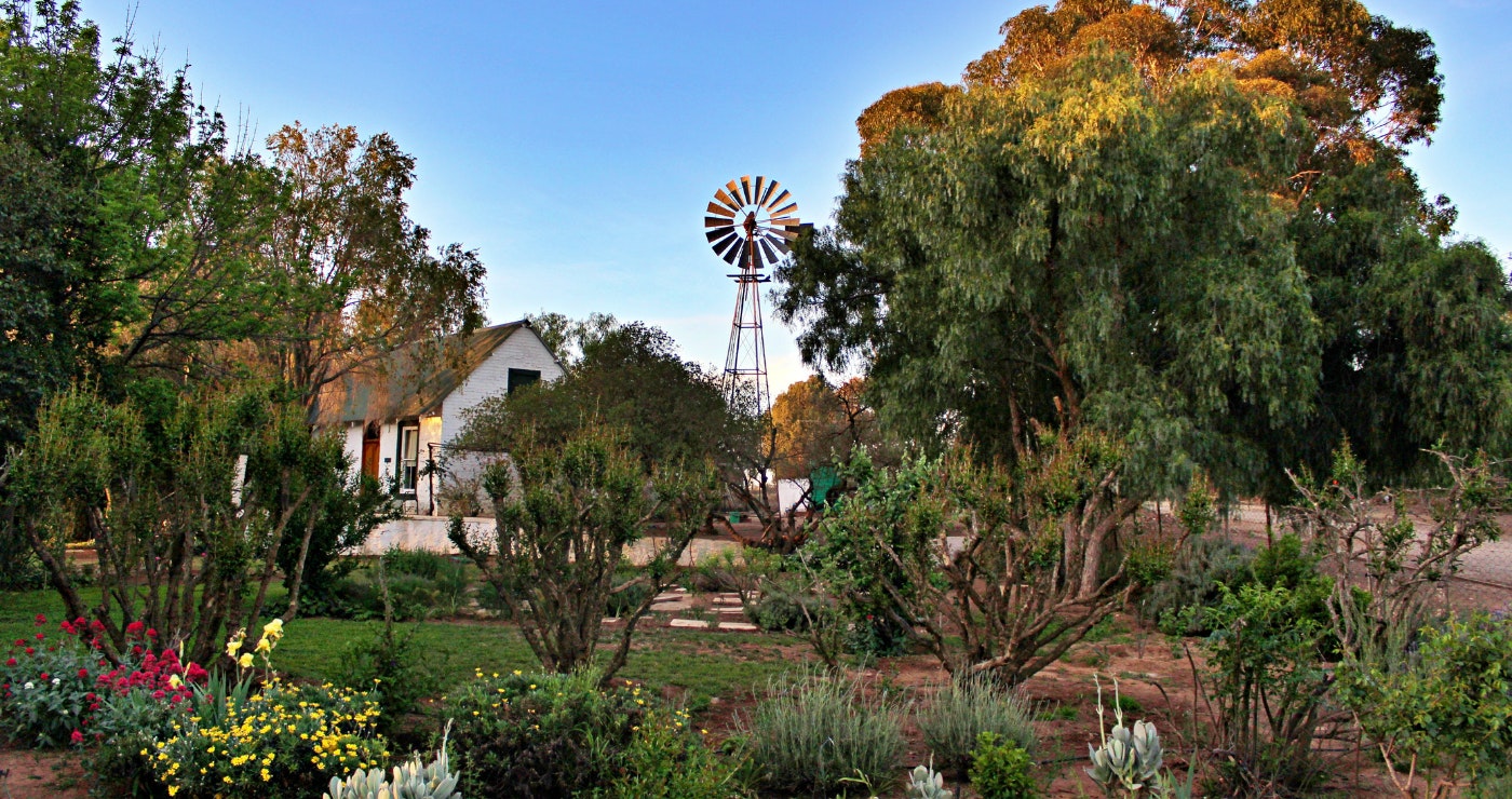 The Willow Historical Guest House se agtertuin. The Willow Historical Guest House se agtertuin.