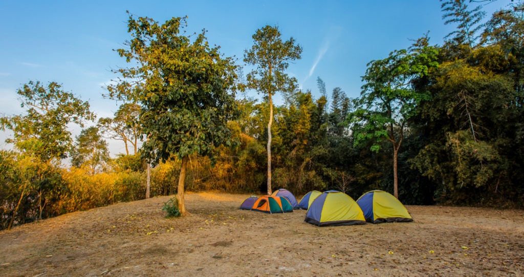 Campfires, Dad Jokes and Awkward Laughters ─ Dinokeng Nature Reserve in the Spotlight