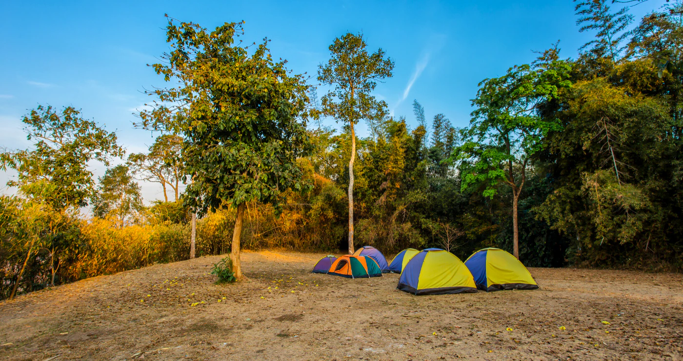 Campfires, Dad Jokes and Awkward Laughters ─ Dinokeng Nature Reserve in the Spotlight