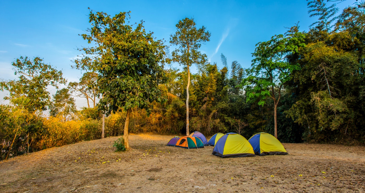 Campfires, Dad Jokes and Awkward Laughters ─ Dinokeng Nature Reserve in the Spotlight