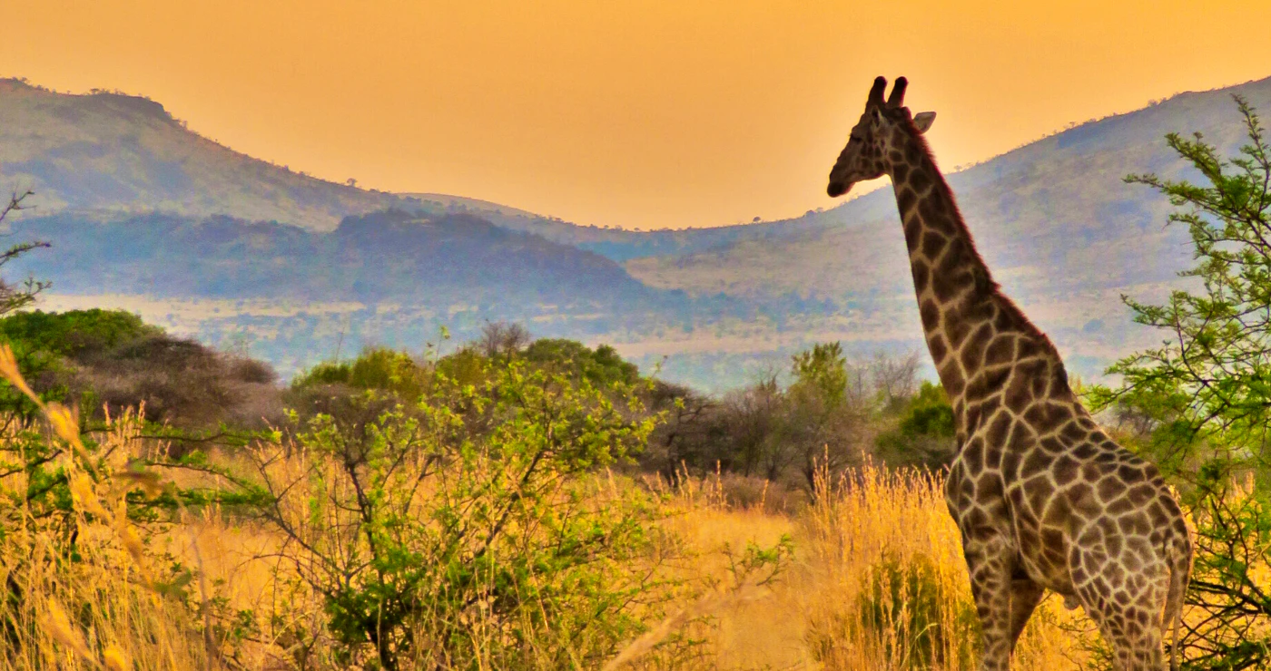 Kwa Maritane: The jewel of the Pilanesberg National Park