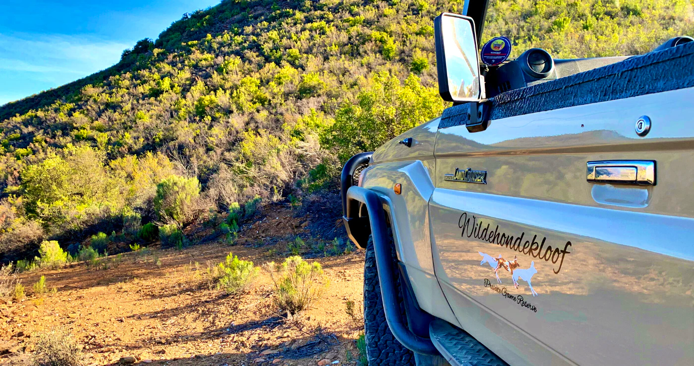 Wildehondekloof: A Wonderful Weekend in the Karoo