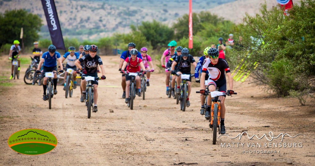Cockscomb Classic Steytlerville