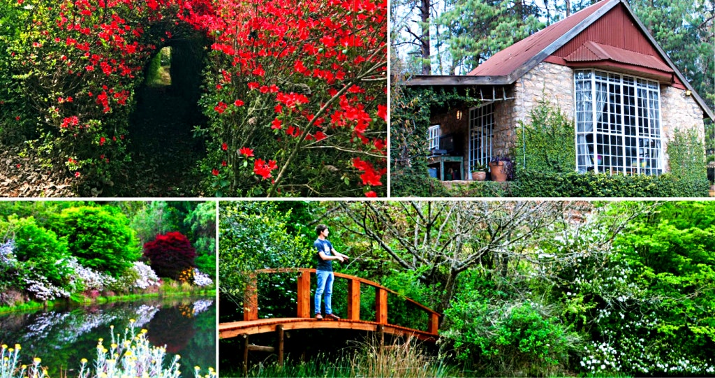 magoebaskloof accommodation